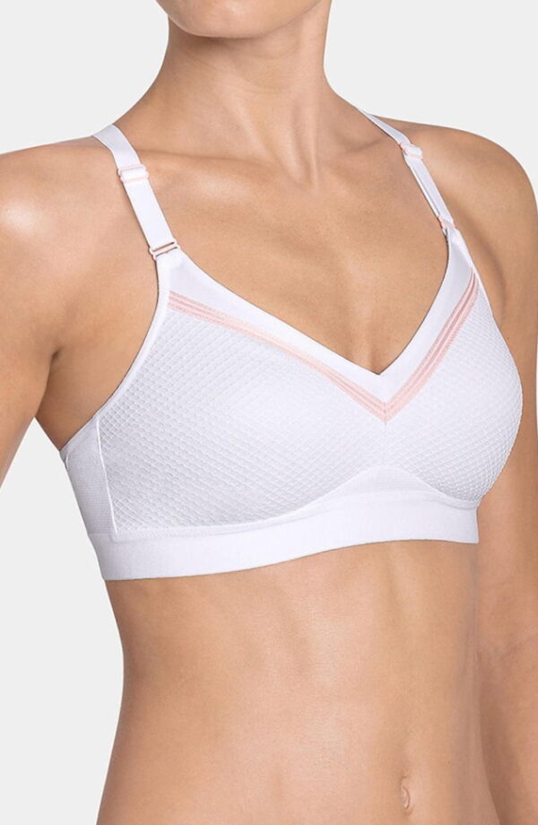 Triumph Triaction Free Motion N Ex