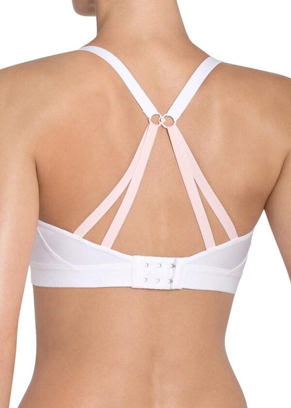 Triumph Triaction Free Motion N