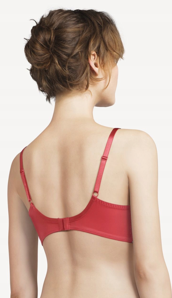 Biustonosze koronkowe duże rozmiary Chantelle Instants C13A10 tył Biustonosze koronkowe duże rozmiary Chantelle Instants C13A10