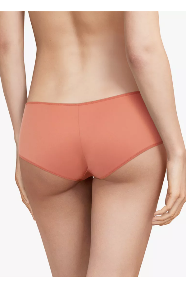 Koronkowe figi z obniżonym stanem Femilet Floral Touch F9424 tył