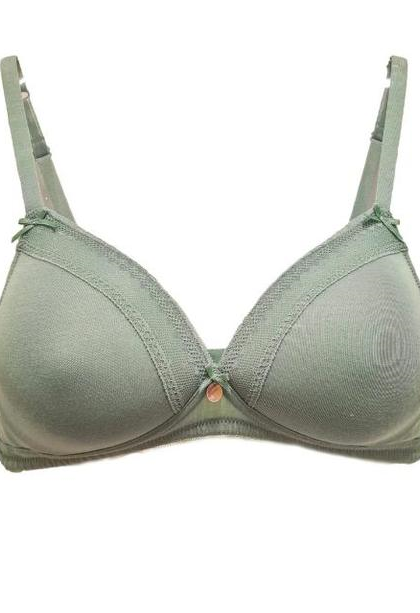 Lekko usztywniany biustonosz Viania 193456 Alina