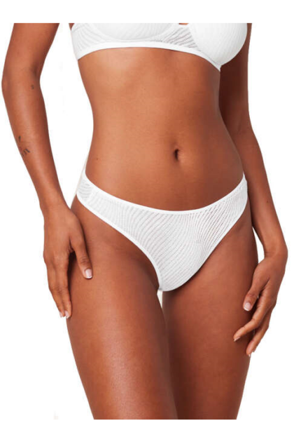 Triumph Harmony Spotlight Tai01