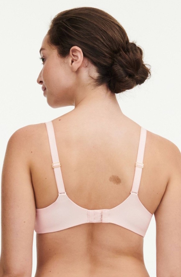 Biustonosz Chantelle Orangerie Dream C17Q20 usztywniany z fiszbinami tyl Biustonosz Chantelle Orangerie Dream C17Q20 usztywniany z fiszbinami