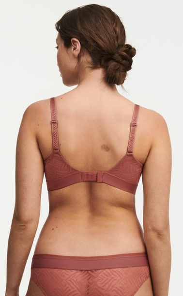 Biustonosz Chantelle c21t10 tyl Biustonosz Chantelle c21t10 tyl